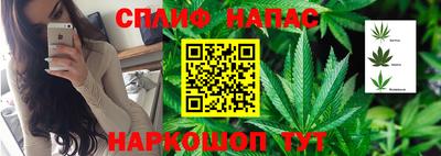 гашик Гатчина