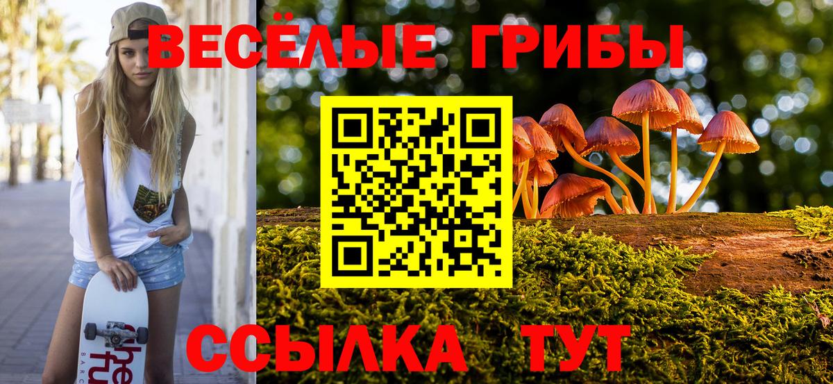 Мыски  хочу   Вход с VPN  Псилоцибиновые грибы Magic Shrooms  Галлюциногенные грибы MAGIC MUSHROOMS 
