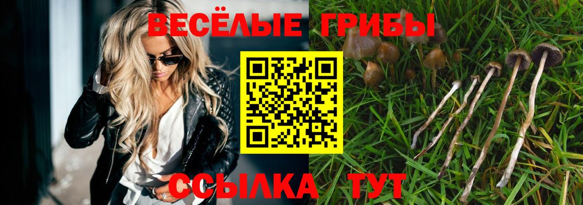 Галлюциногенные грибы Magic Shrooms Мыски
